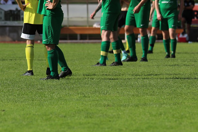 蓝鲸体育_蓝鲸体育app下载_蓝鲸体育高清直播官网入口